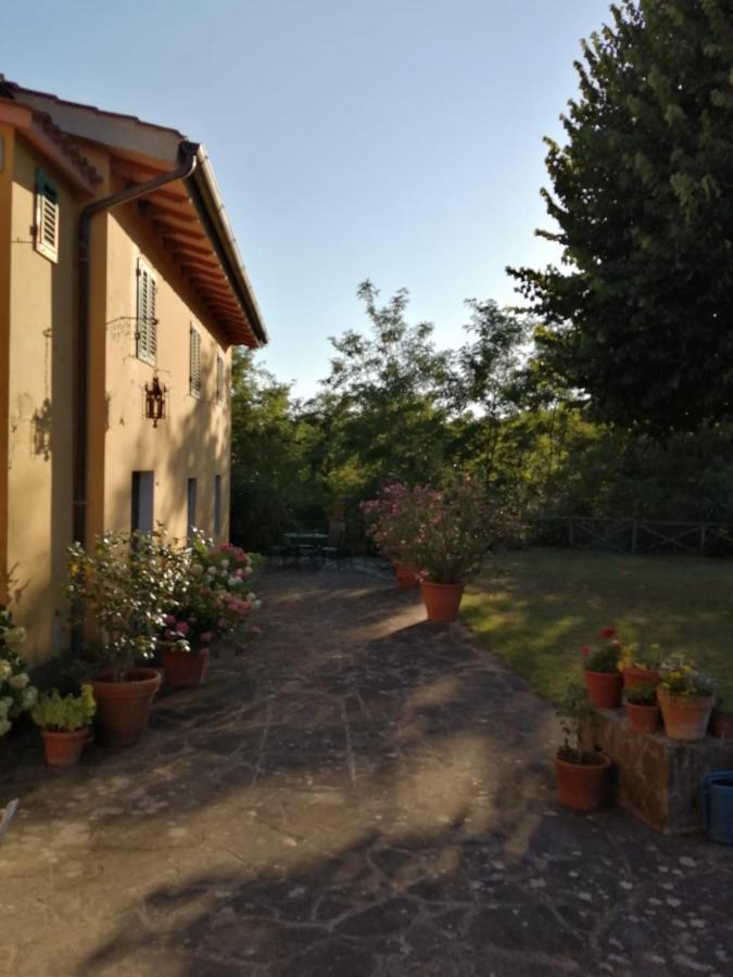 维基奥Mugello - Casa Di Campagna住宿加早餐旅馆 外观 照片