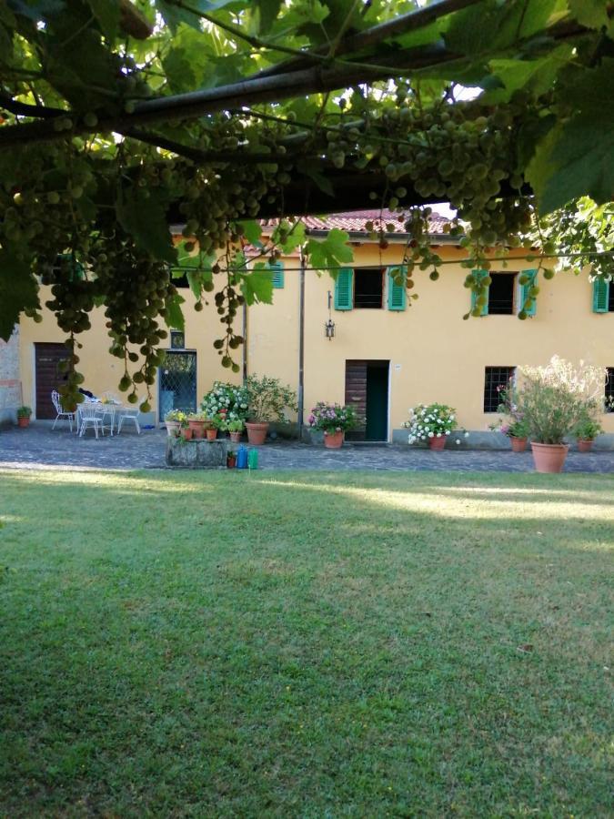 维基奥Mugello - Casa Di Campagna住宿加早餐旅馆 外观 照片